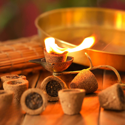 Floranile Havan | Sambrani Cups
