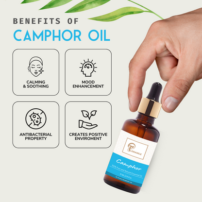 Camphor Essential Oil (15ml)