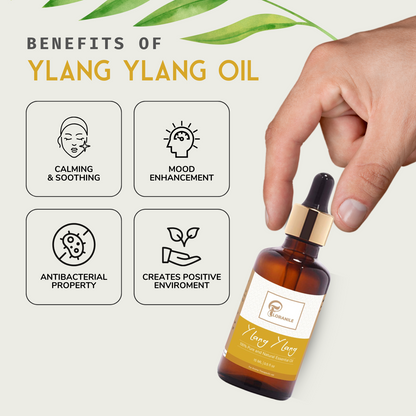 Ylang - Ylang Essential Oil