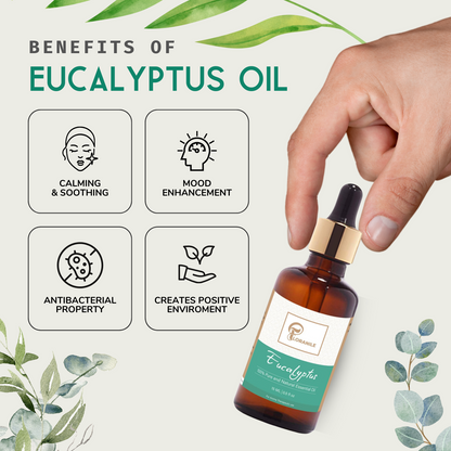 Eucalyptus Essential Oil (15ml)