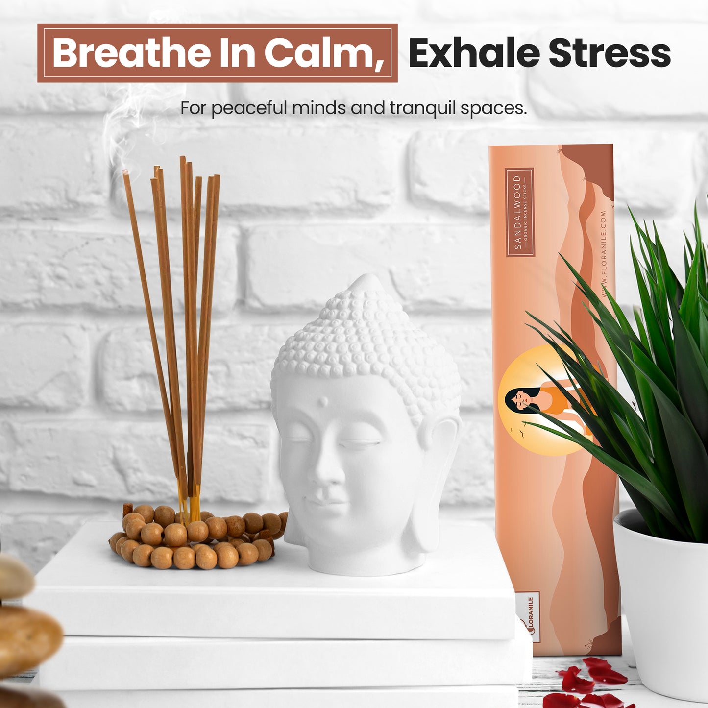 Assorted Incense Sticks Pack of 5
